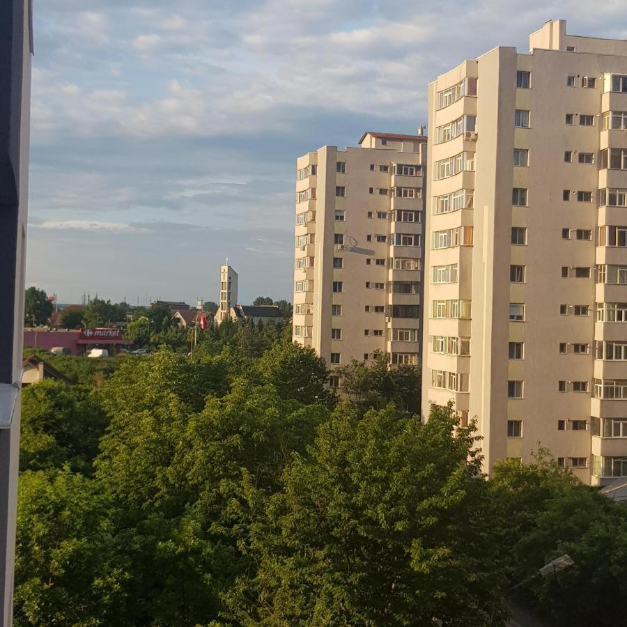Casa Roxana Διαμέρισμα Σλάτινα Εξωτερικό φωτογραφία