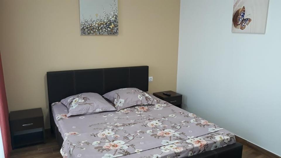 Casa Roxana Διαμέρισμα Σλάτινα Εξωτερικό φωτογραφία