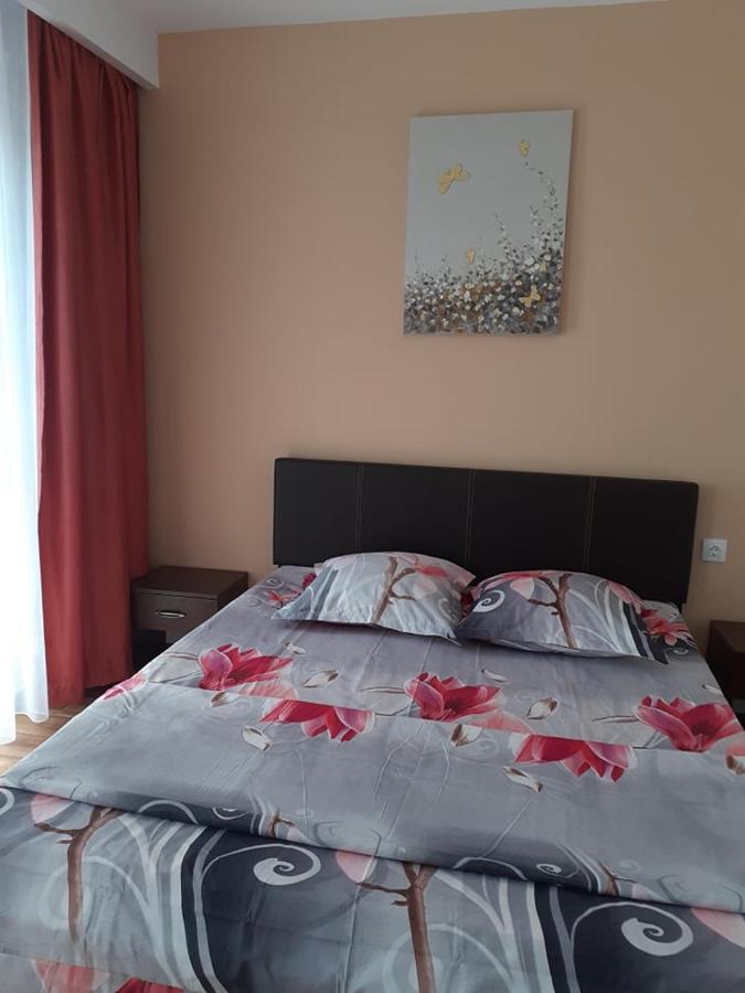 Casa Roxana Διαμέρισμα Σλάτινα Εξωτερικό φωτογραφία